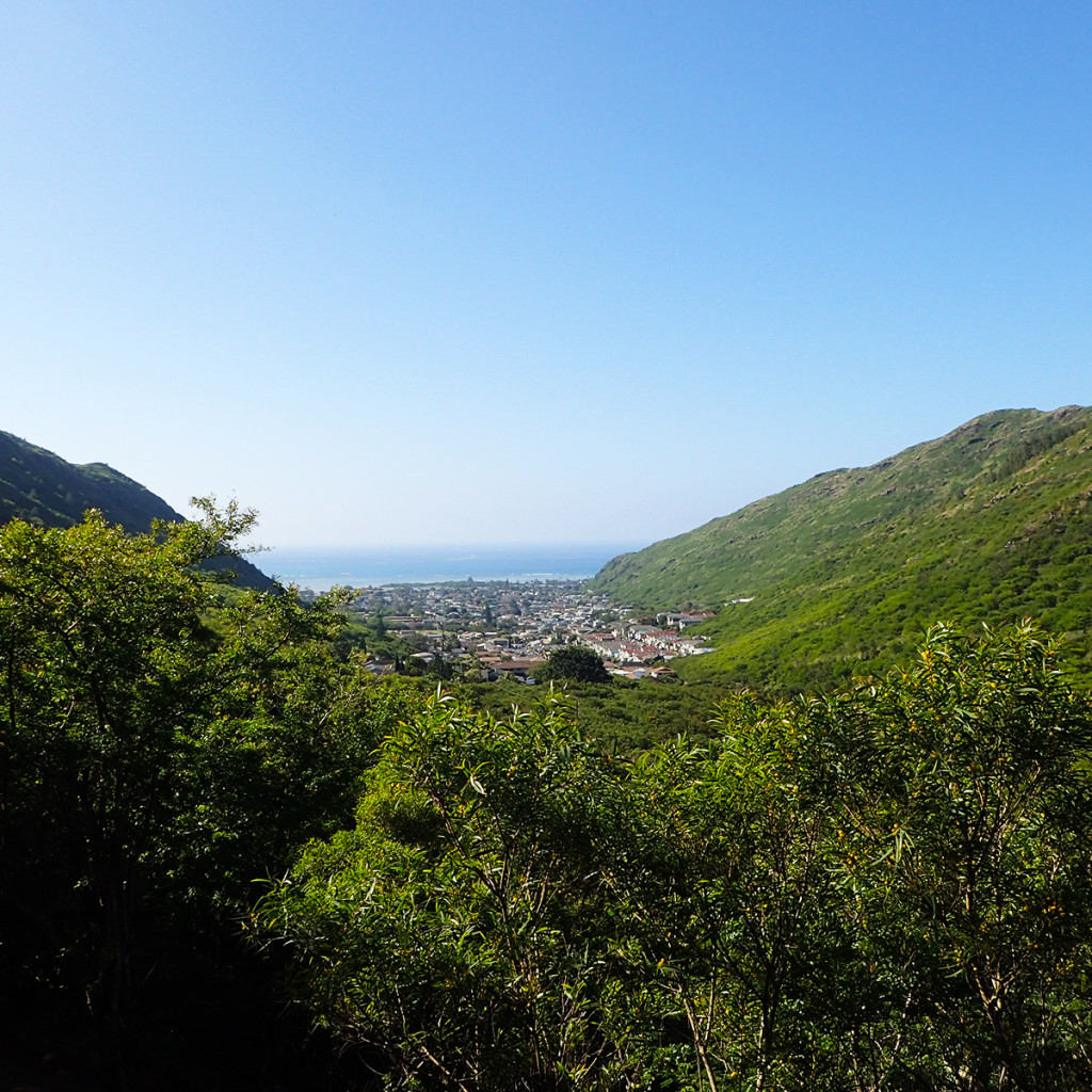 Kuliouou Ridge Trail View