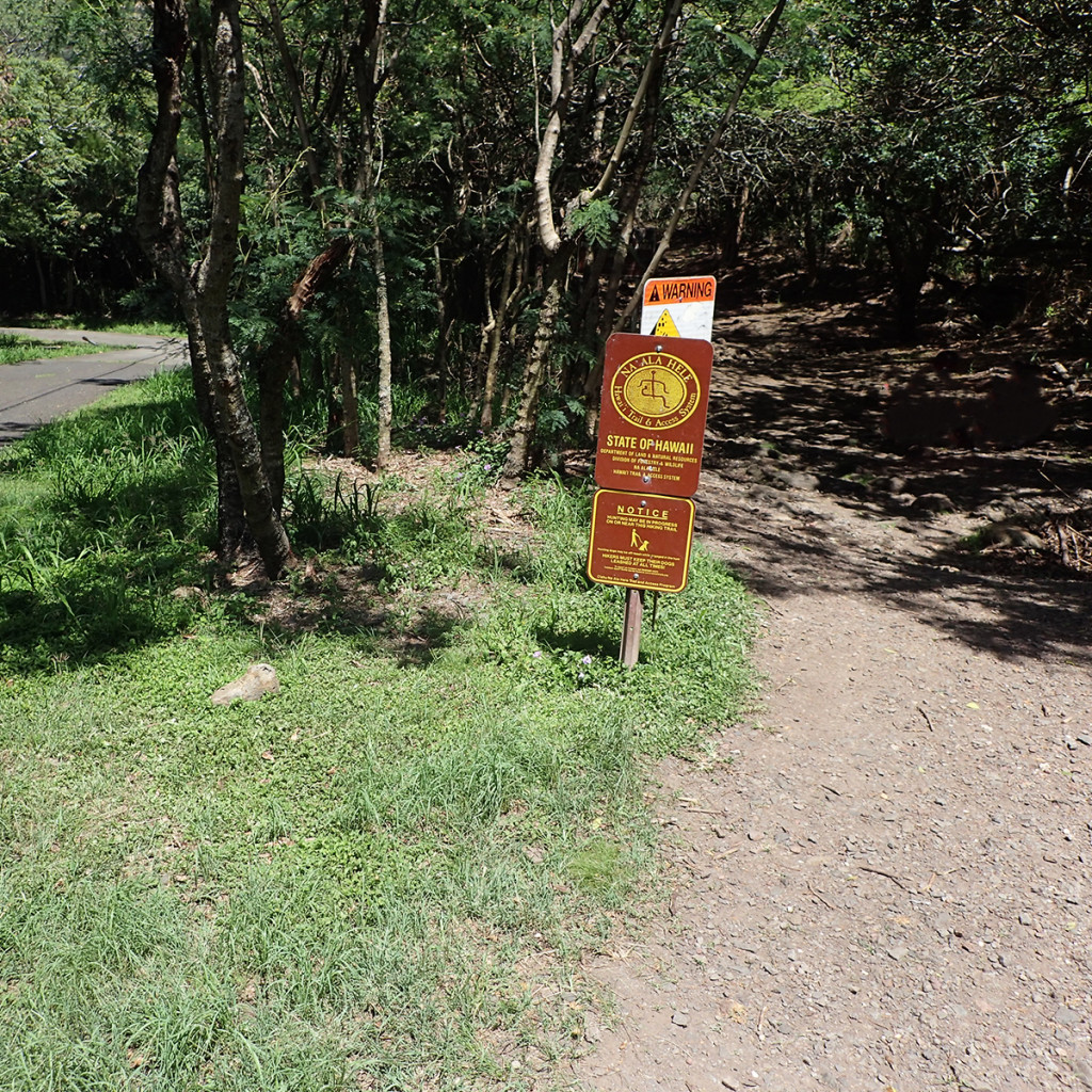 Kuliouou Ridge Trail Start