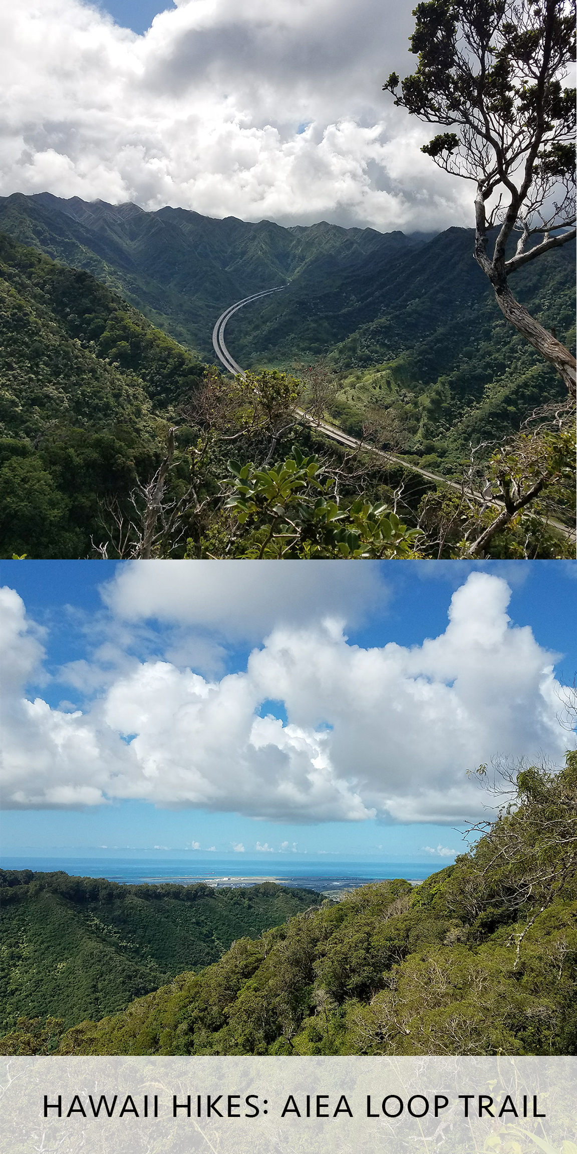 Hawaii Hike: Aiea Loop Trail