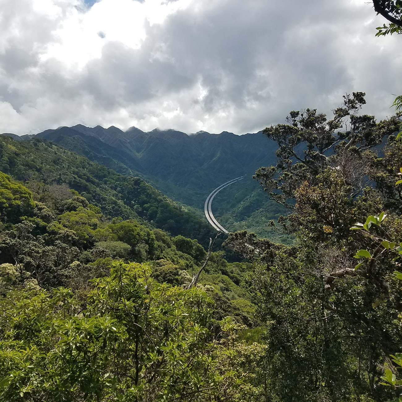 Aiea Loop Trail H3 View