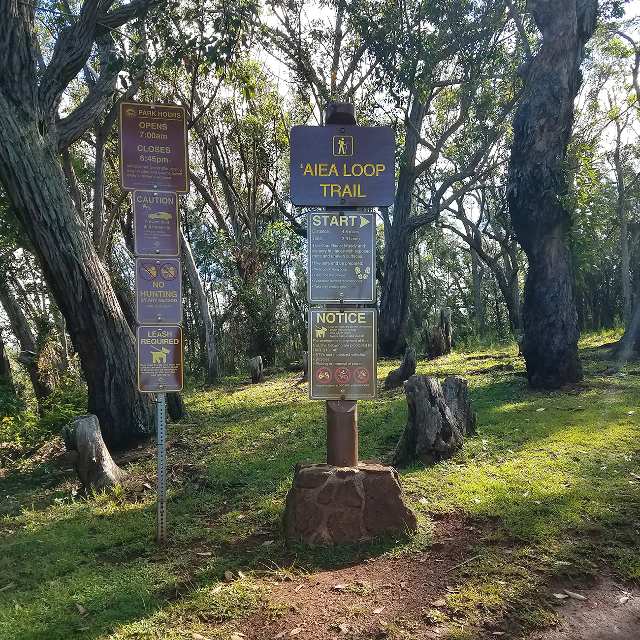 Aiea Loop Trailhead