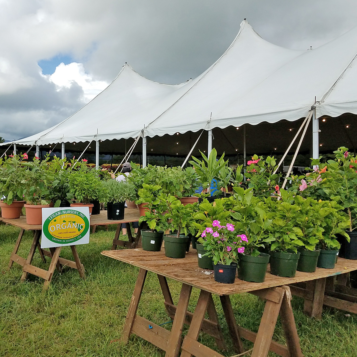 Hawaii-state-farm-fair-flowers