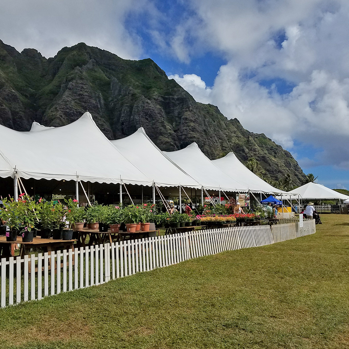 Hawaii State Farm Fair