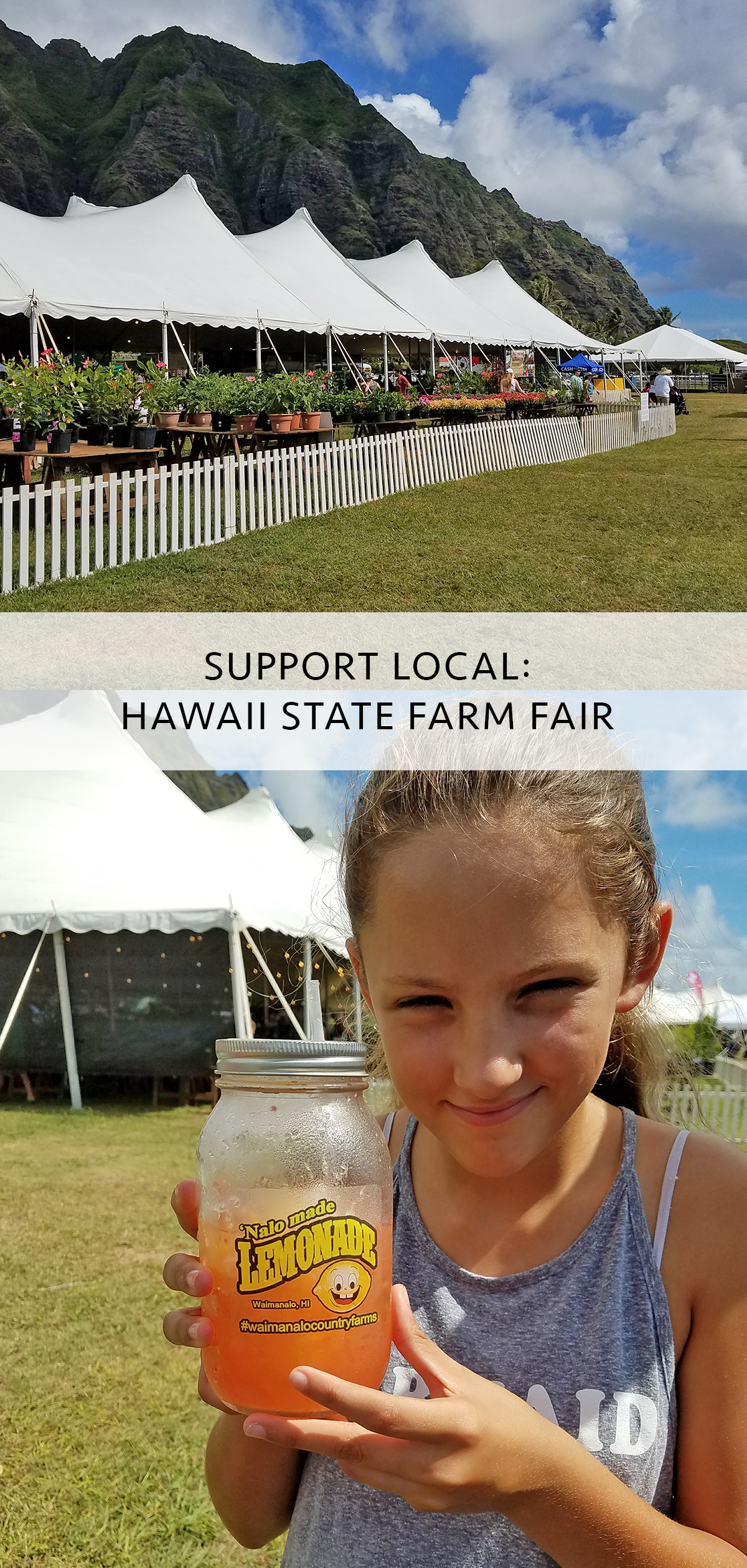 Hawaii State Farm Fair