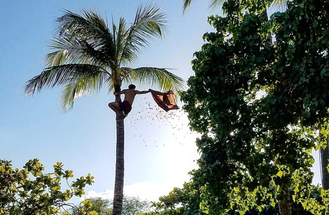 Shower of Flowers at Paradise Cove Luau