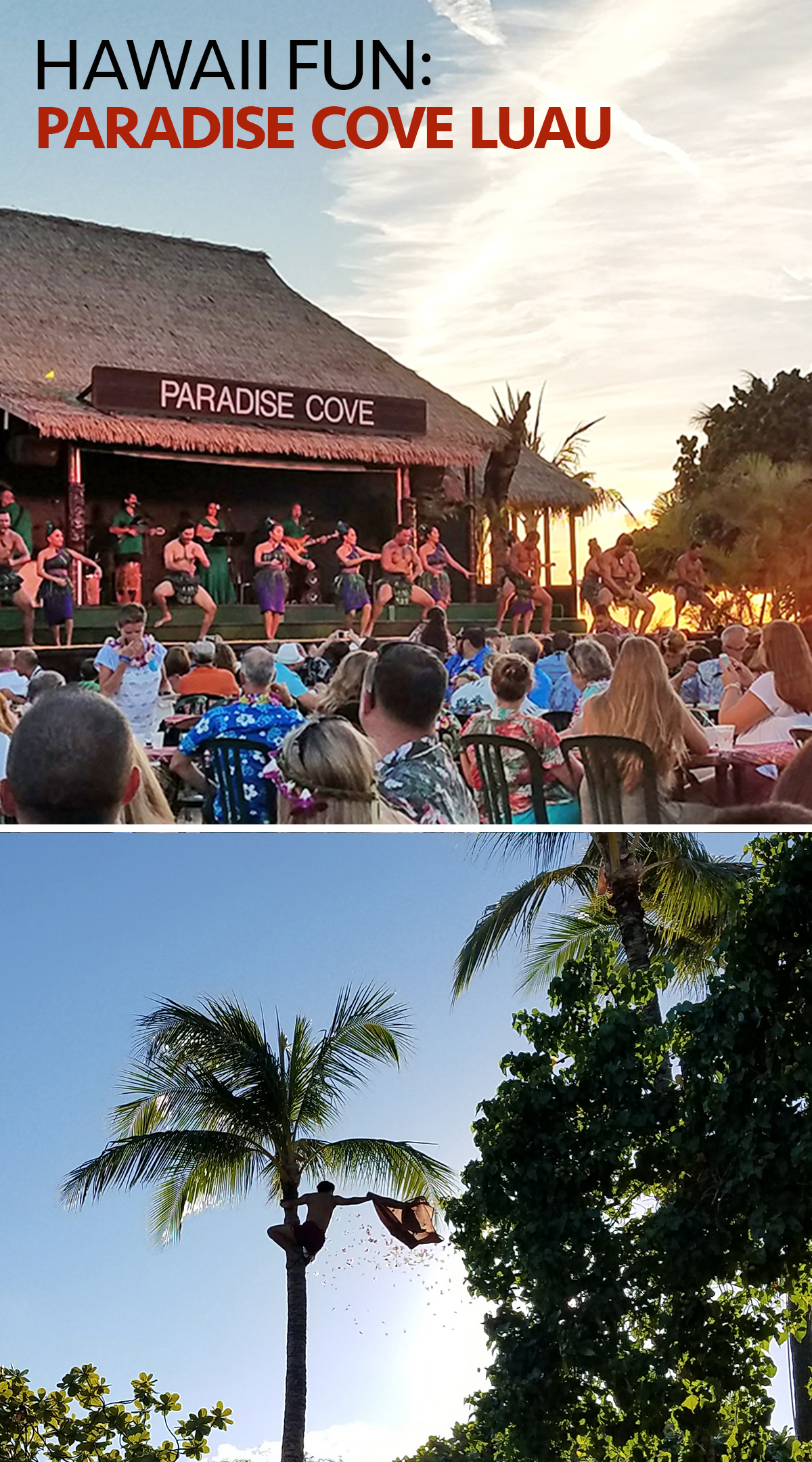 Hawaii Fun Paradise Cove Luau  Aloha Lovely