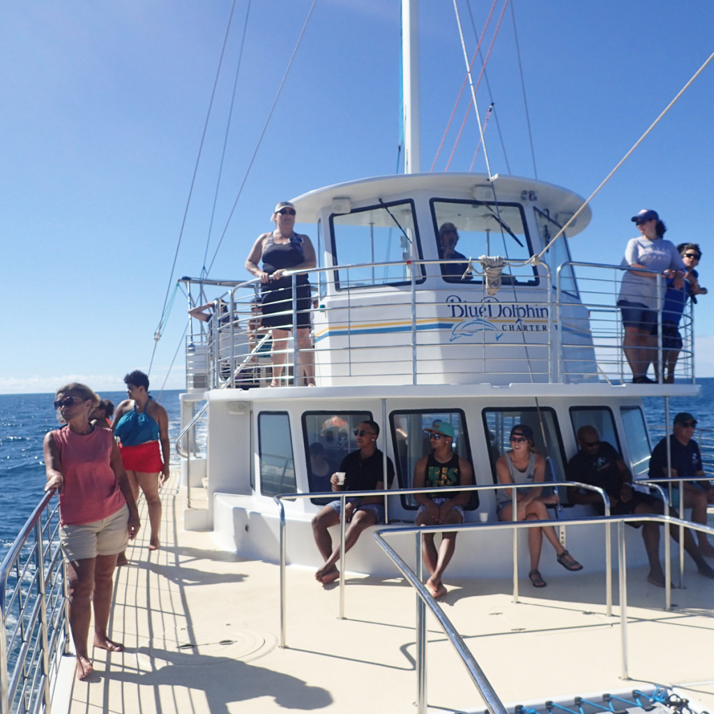 Blue Dolphin Charters Kauai Catamaran