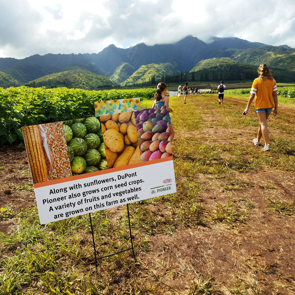 Sign at the Sunflower Fields