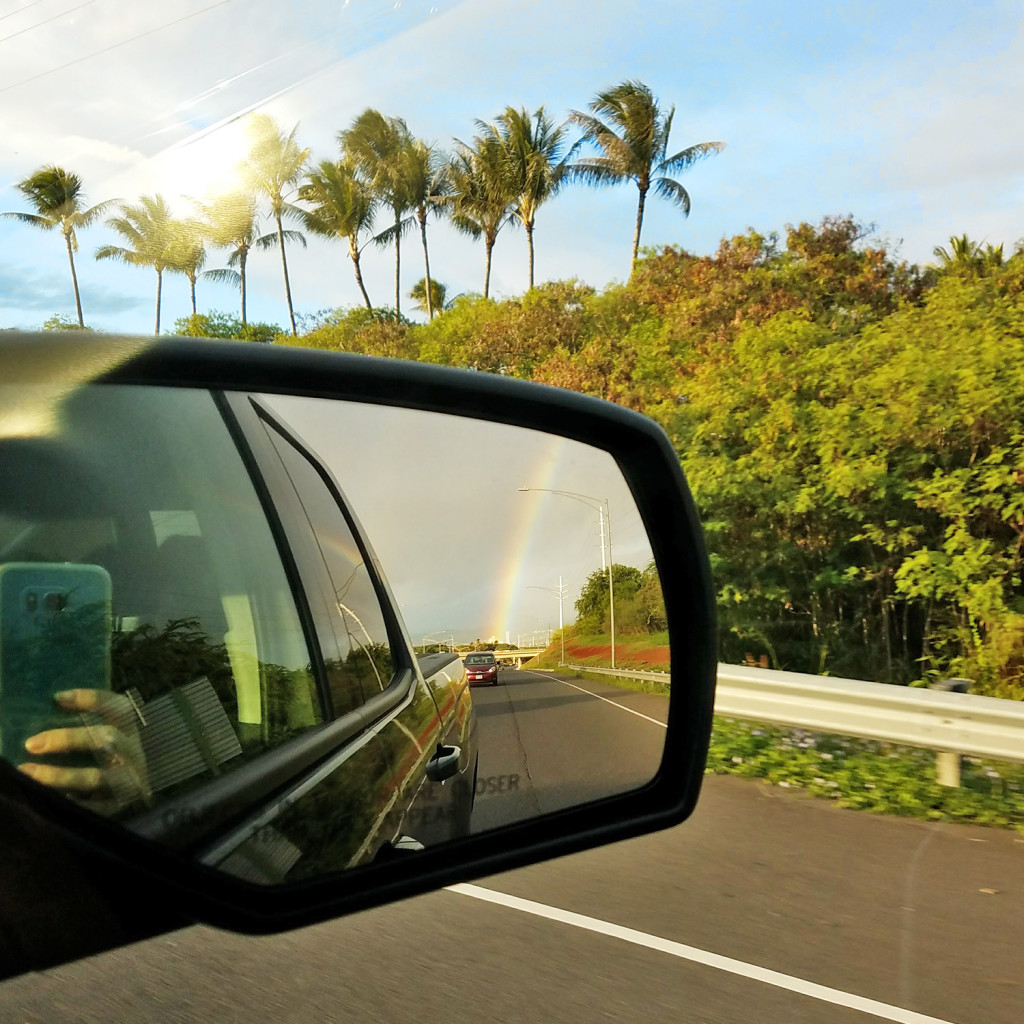 Aloha Lovely Rearview Rainbow