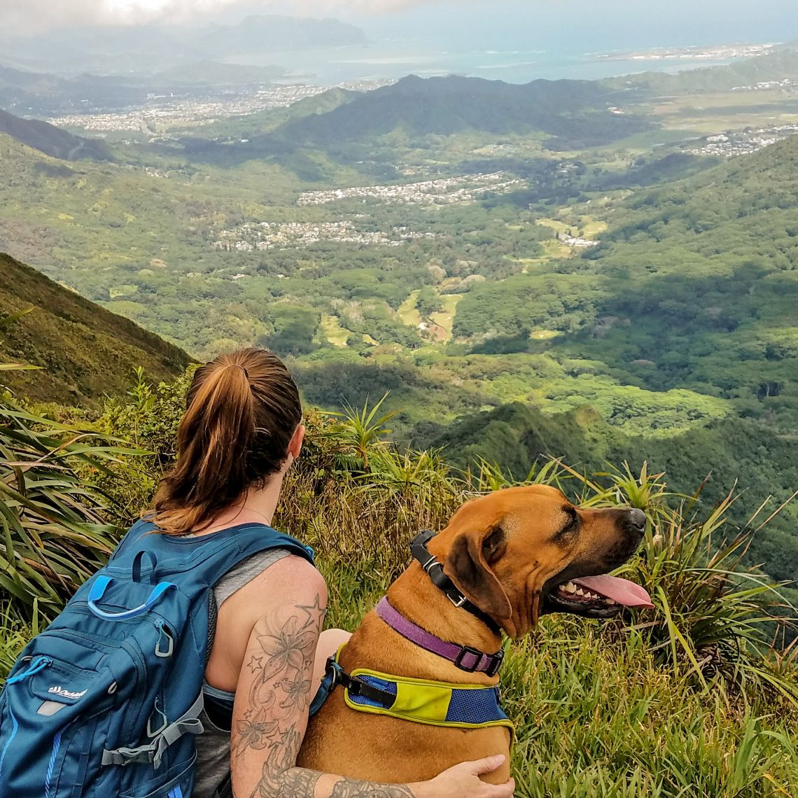 Wiliwilinui Ridge Trail Summit