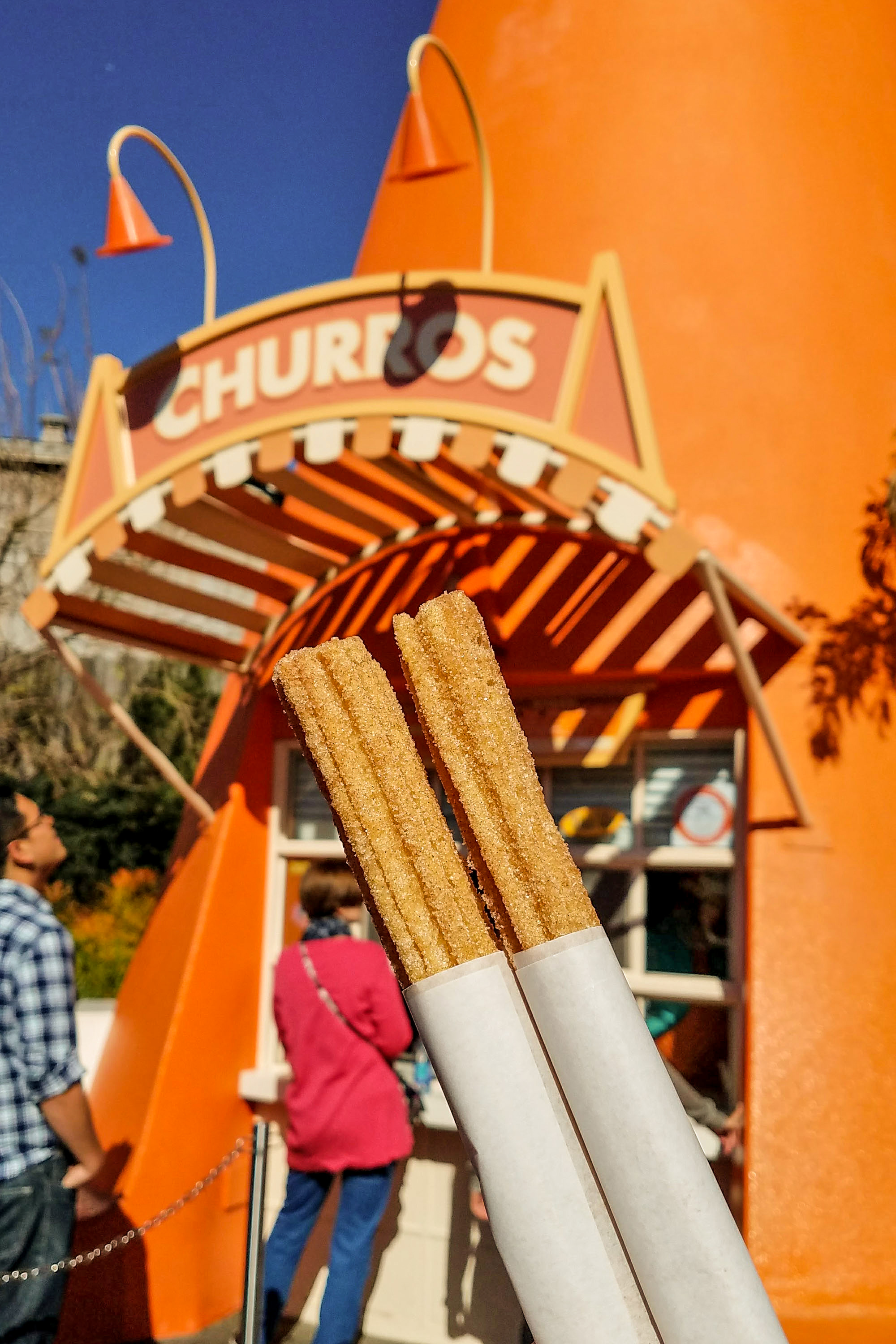 Cozy Cone California Adventure Churros