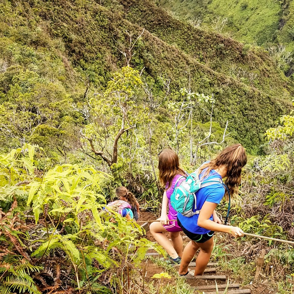 Wiliwilinui Ridge Trail Rope