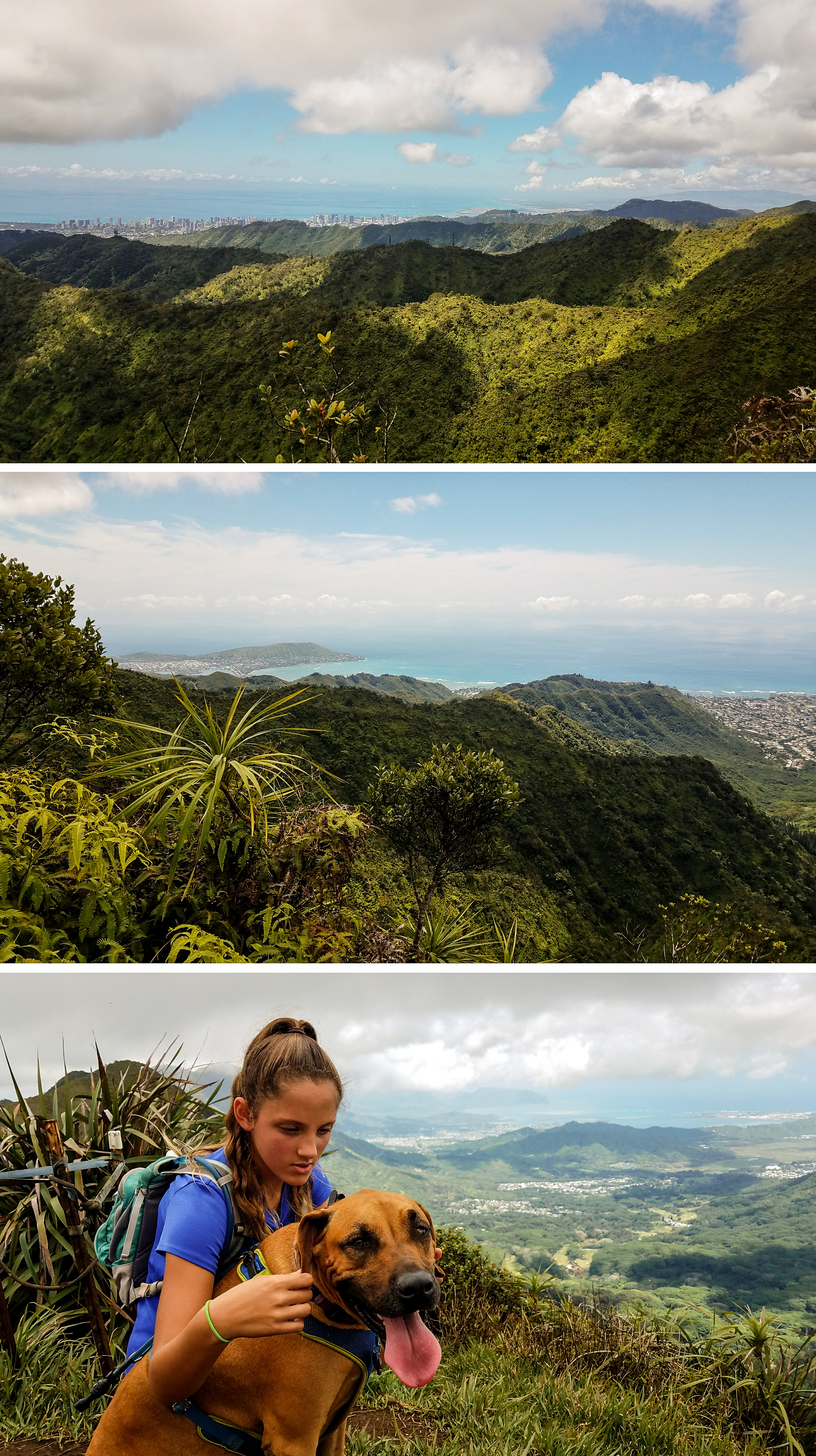 Wiliwilinui Ridge Trail Views