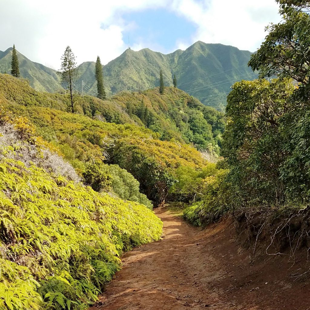 Start of Wiliwilinui Ridge Trail