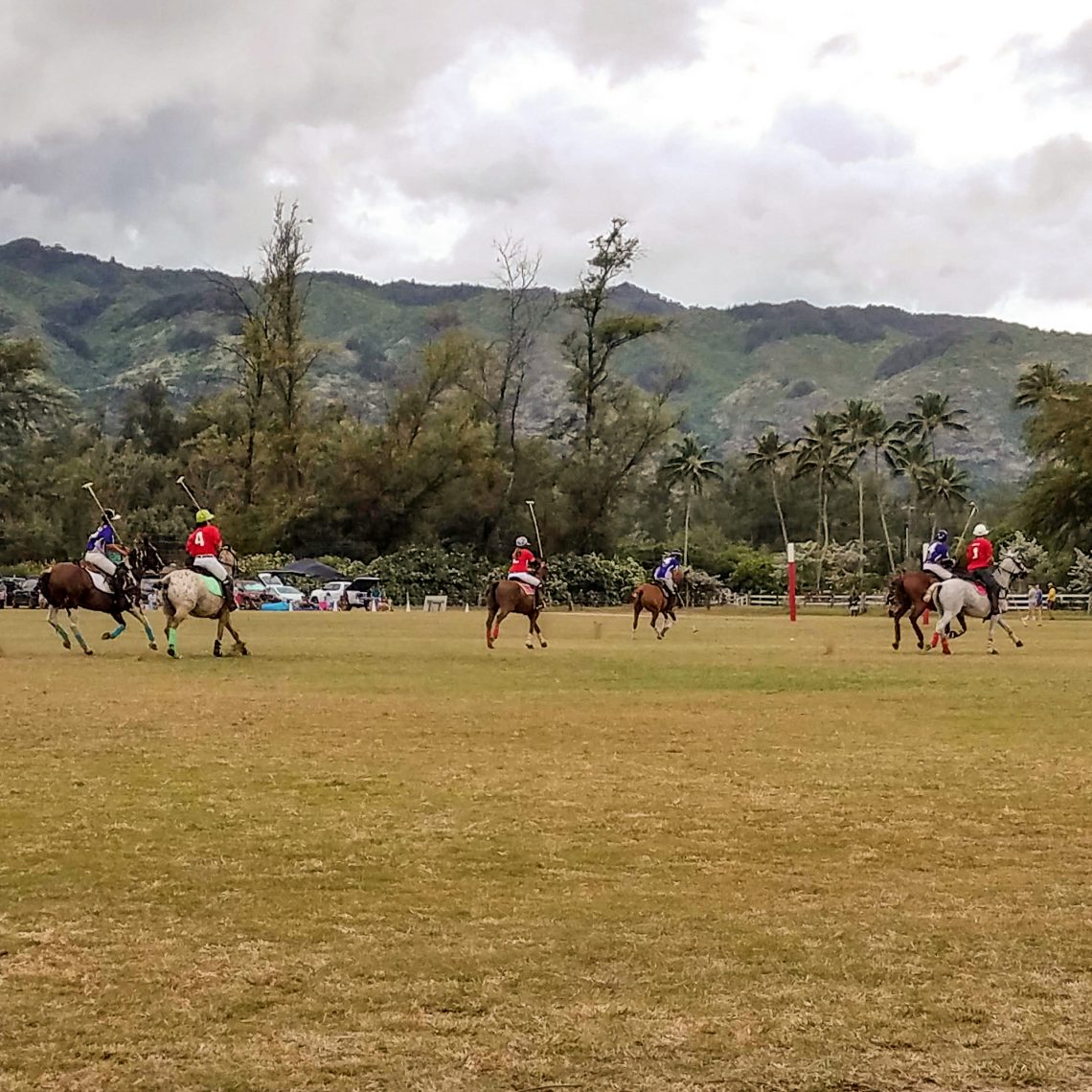 Hawaii Polo Club