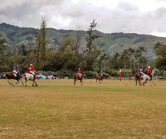 Hawaii Polo Club