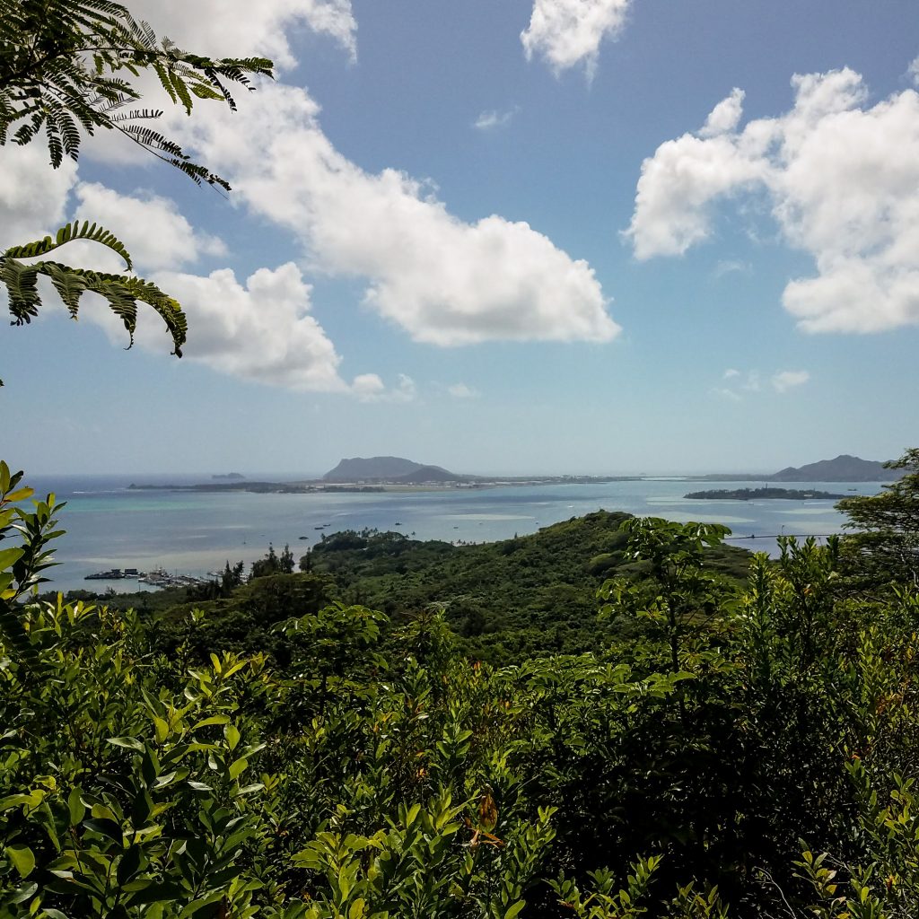 Puʻu Maʻeliʻeli Digging Trail View