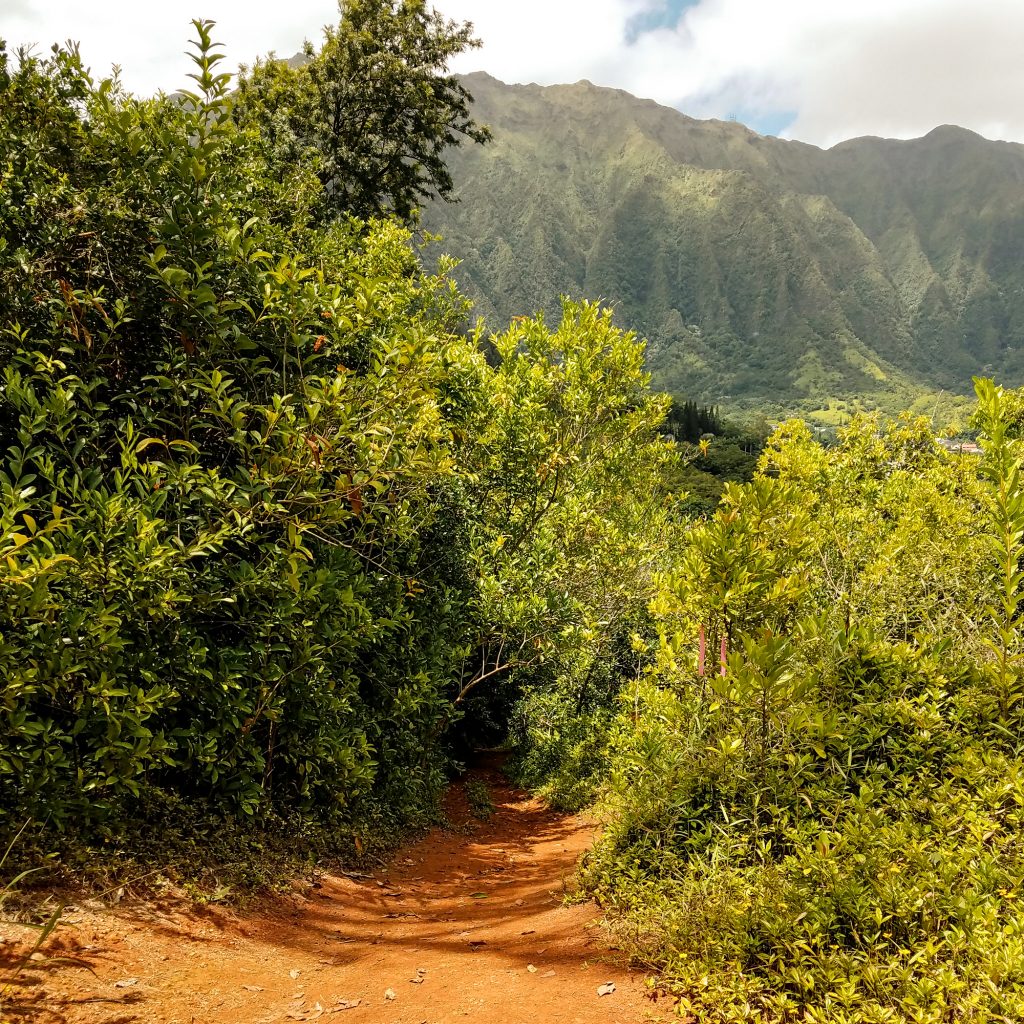 Puʻu Maʻeliʻeli Digging Trail