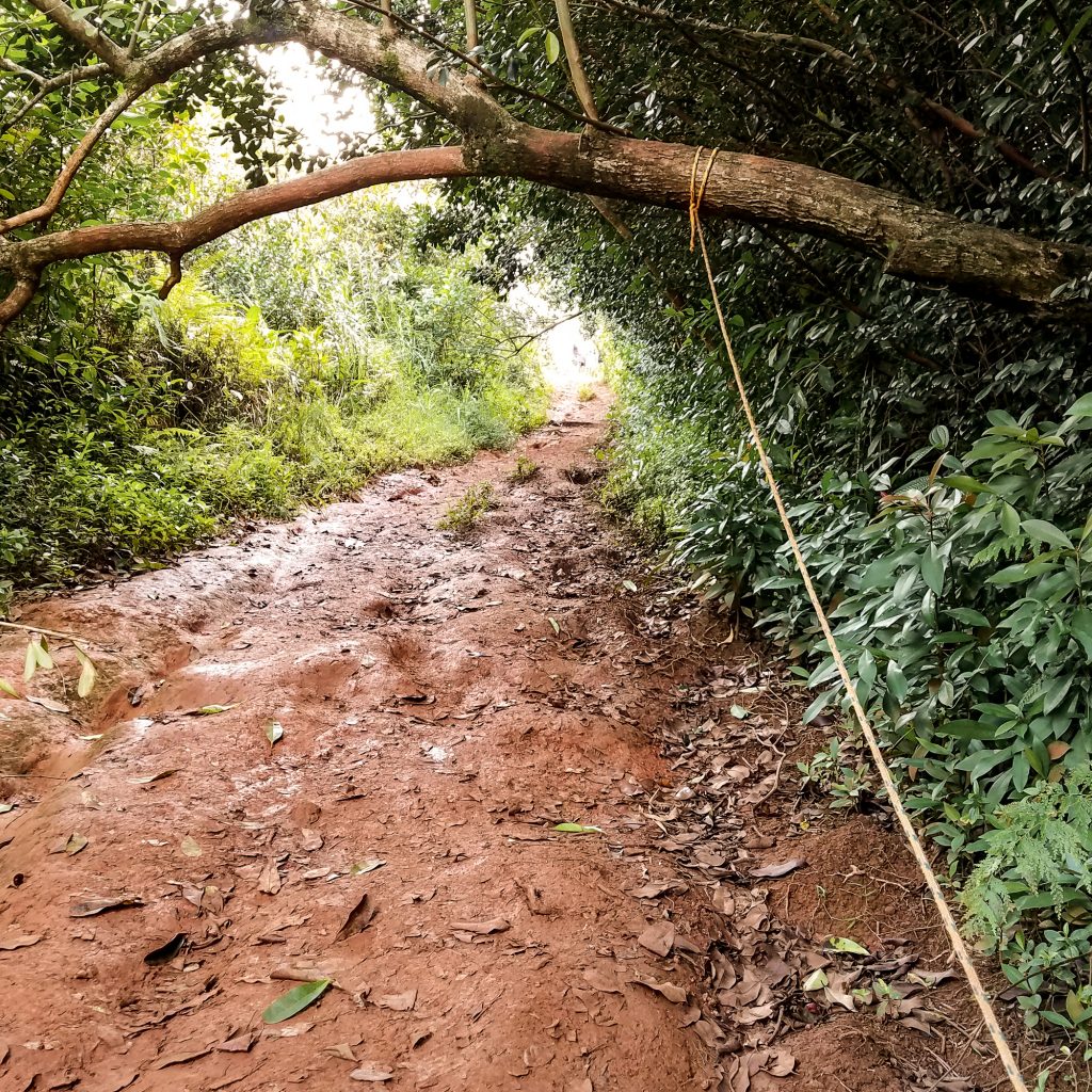 Puʻu Maʻeliʻeli Digging Trail Rope