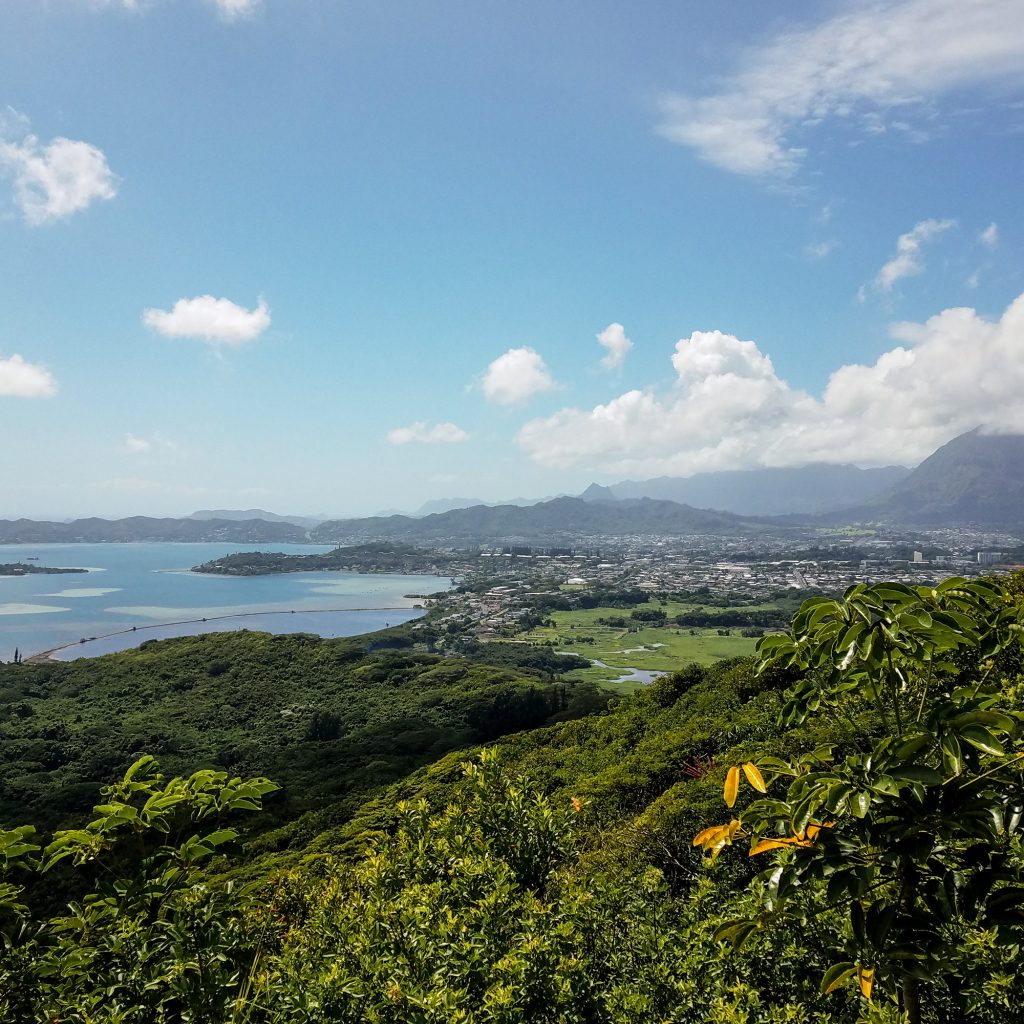 Puʻu Maʻeliʻeli Digging Trail Outlook