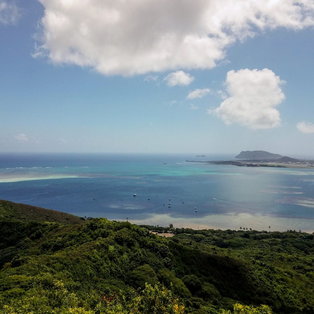 Puʻu Maʻeliʻeli Digging Trail Outlook