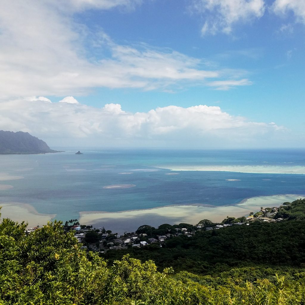 Puʻu Maʻeliʻeli Digging Trail Outlook