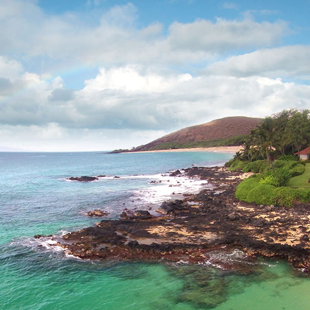 things to do in maui in december