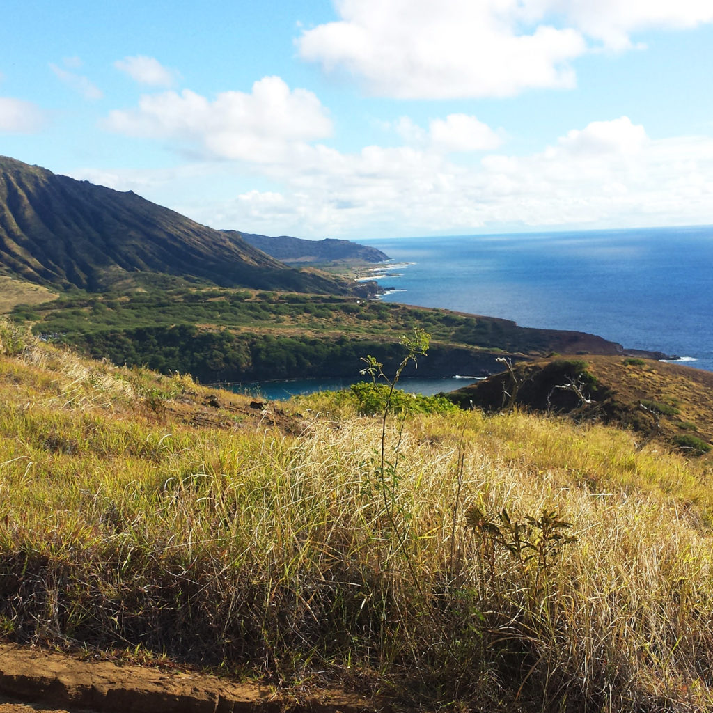 hanauma-bay-ridge-trail