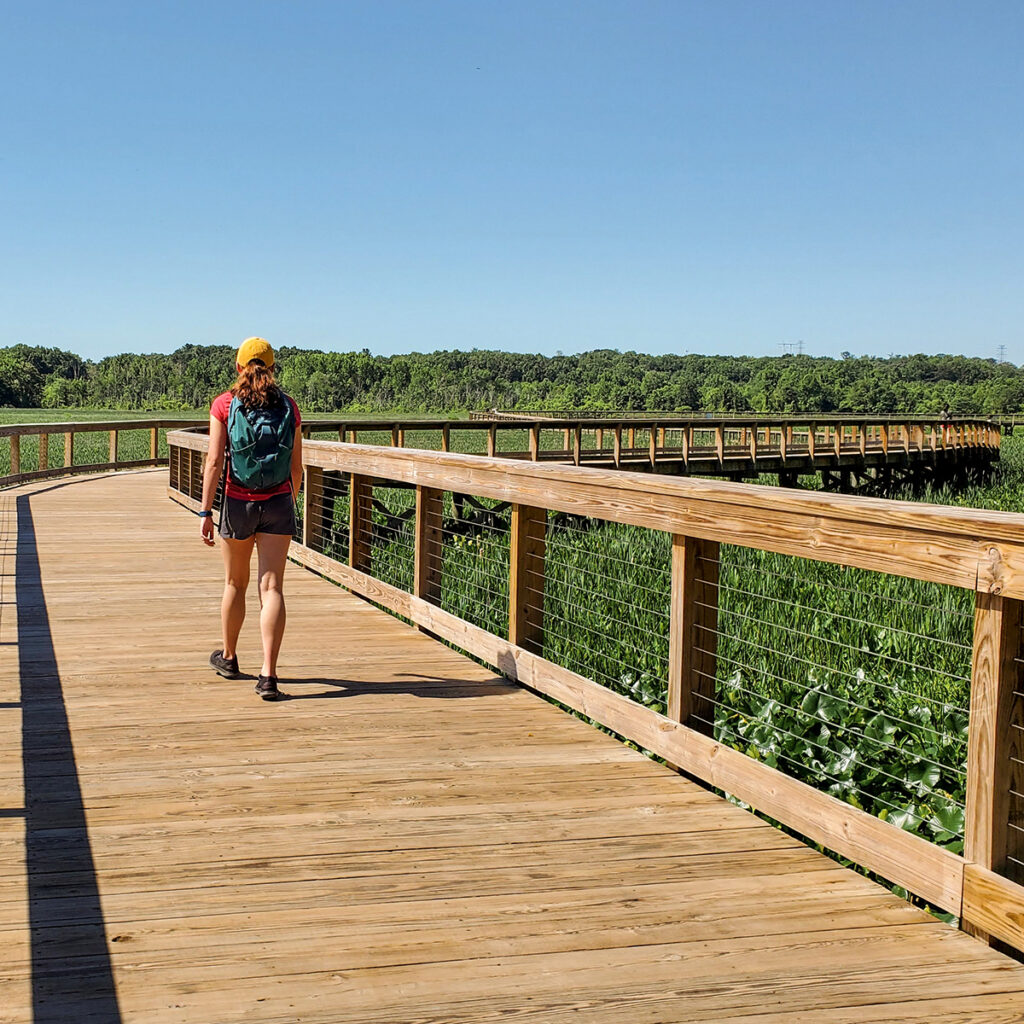 Neabsco Creek Boardwalk Trail