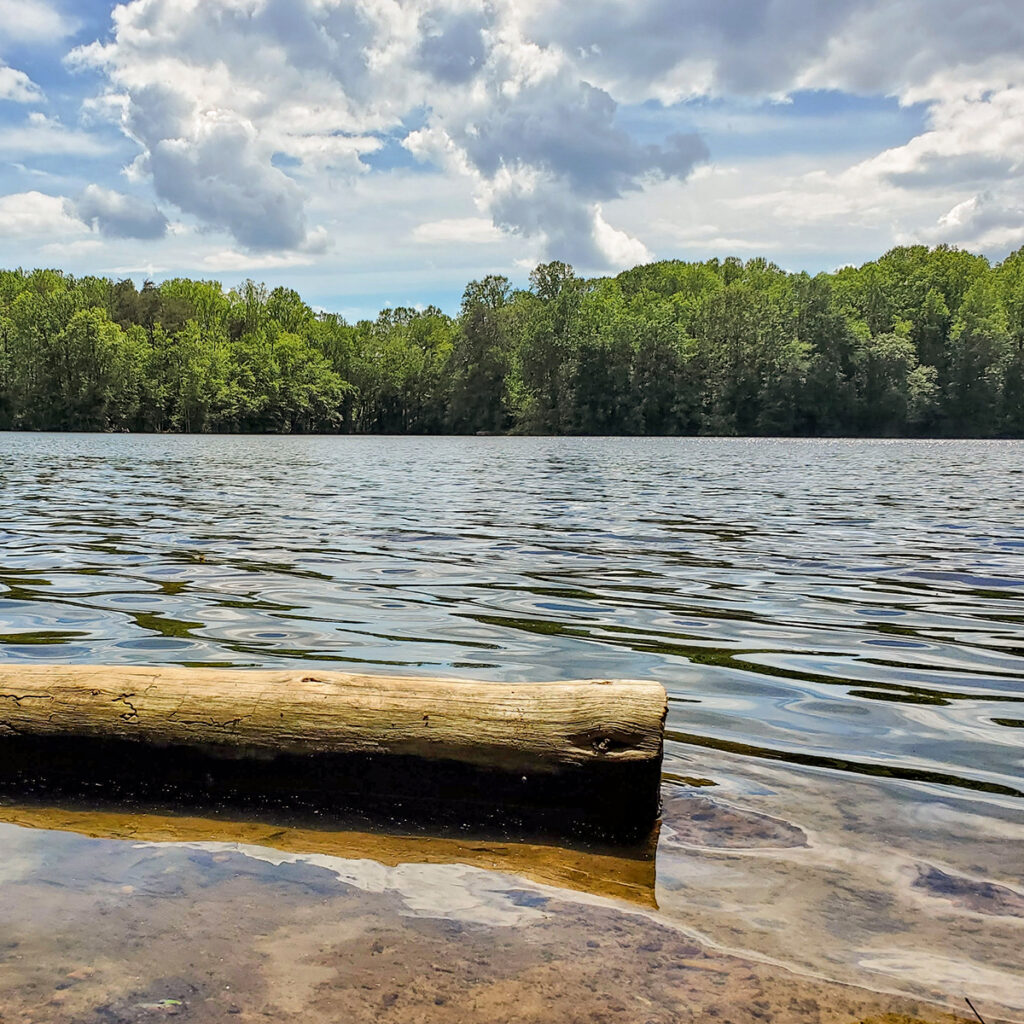 Burke Lake Park